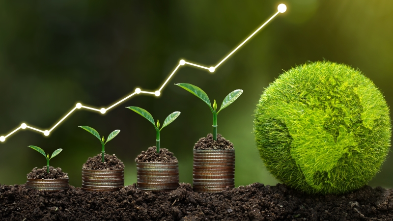 Sostenibilidad l (Nosotros)